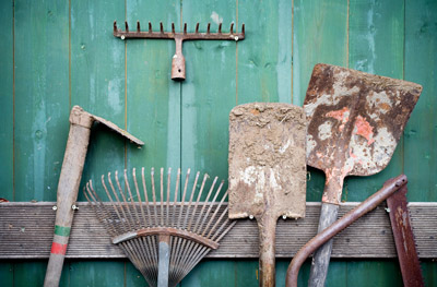 workshops_crop